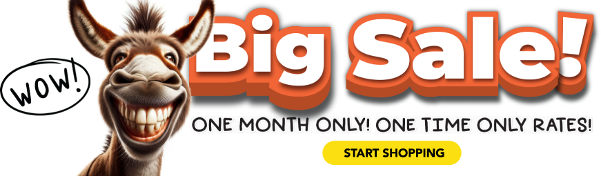 Big sale! One month only! One time only rates!