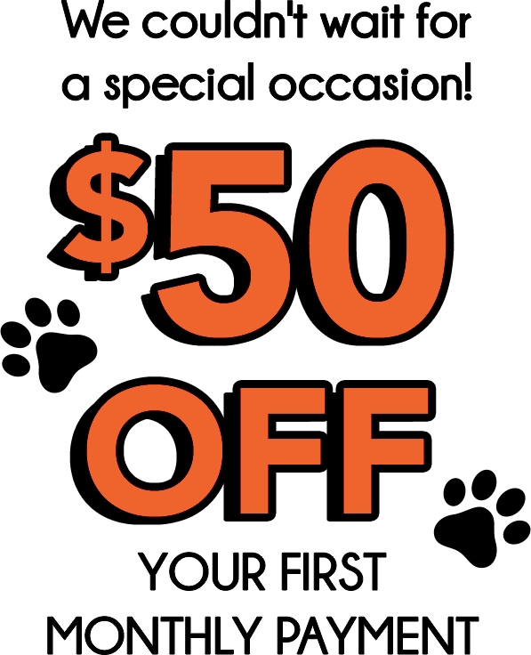 Rent to Own Store Furniture, Appliances, TVs, Phones, Computers ACE