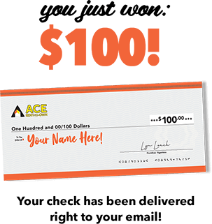 You just won: $100! Your check has been delivered right to your email!
