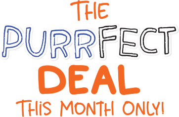 The Purrfect DEAL THIS MONTH ONLY!