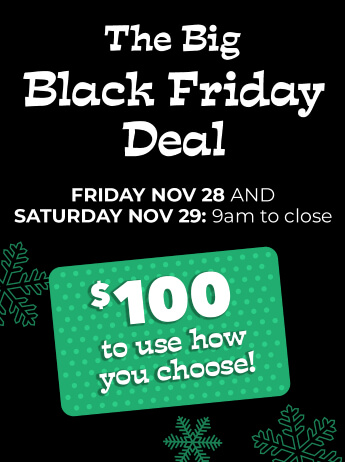 The Black Friday Deal! Friday Nov 28 and Saturday Nov 29: 9am to close $100 to use how you choose!